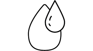 ABSORBENT