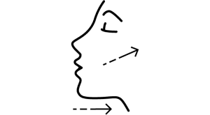 CONTOURS THE FACE