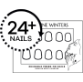 24+ NAILS PER PACK